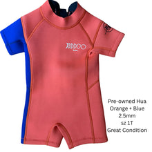 Load image into Gallery viewer, Pre-worn Baby and Kids Wetsuits
