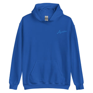 Aunties Embroidered Unisex Hoodie with wave sleeve detail