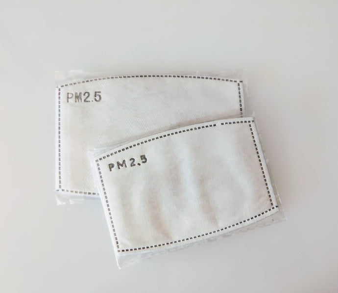 PM2.5 Activated Carbon Filters, Adult and Kids sizes